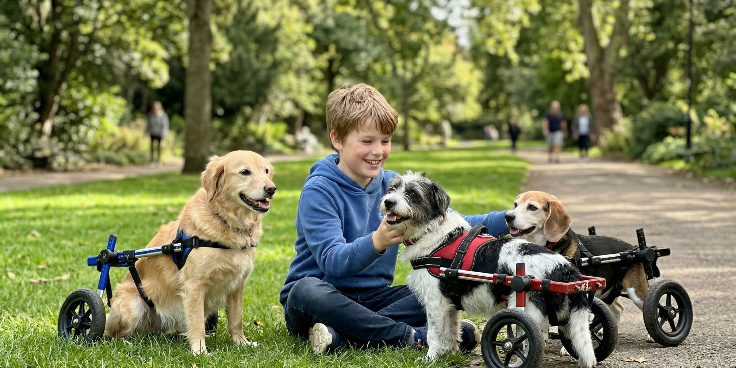 A happy boy with three disabled dogs | Source: Amomama