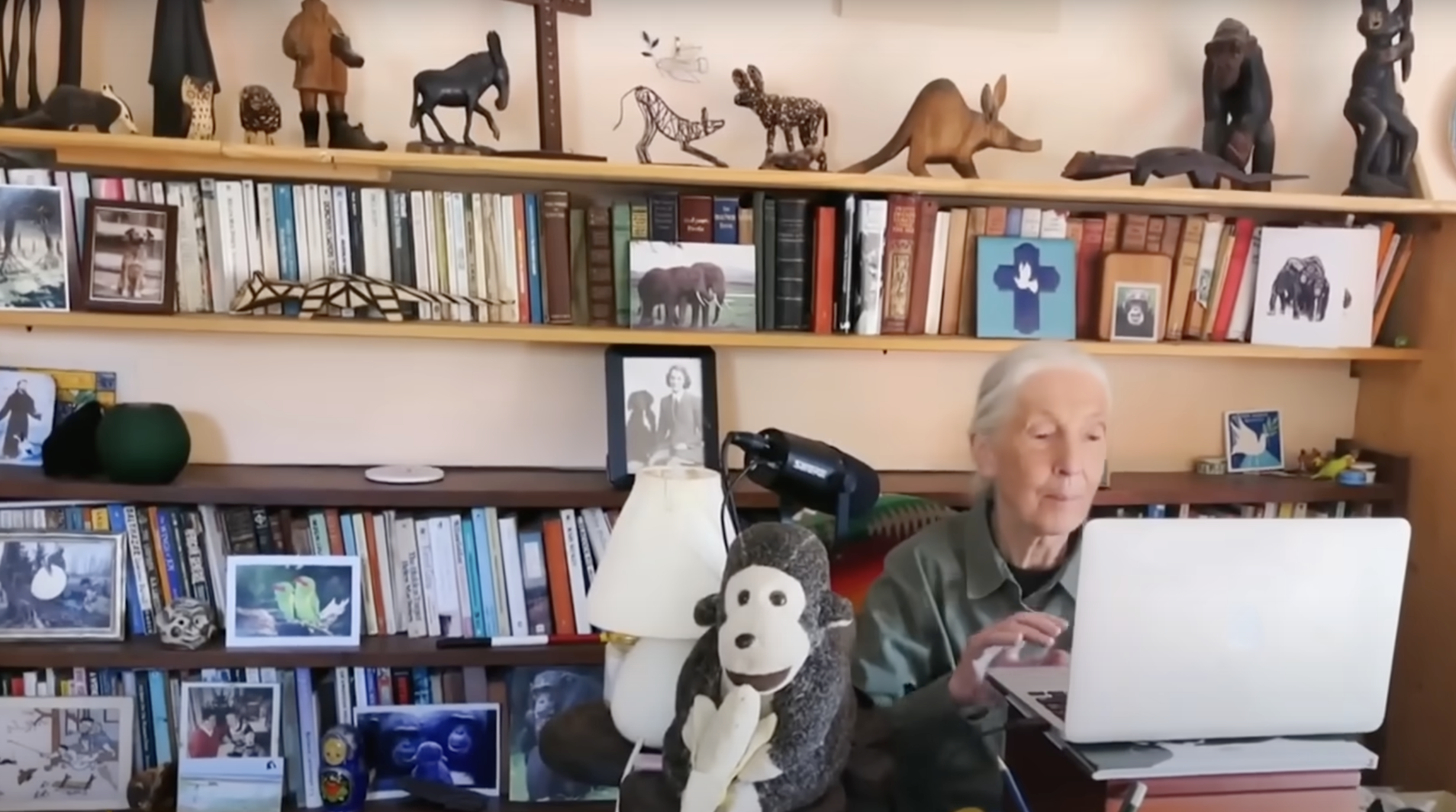 Jane Goodall sits at her laptop in front of a full wall of bookshelves and personal memorabilia, including framed photographs, carved animal figures, and a collection of reference books. | Source: YouTube/@CBSSundayMorning
