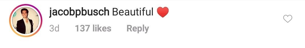 Rebel Wilson's boyfriend Jacob Busch's comment on her Instagram post | Photo: Instagram / rebelwilson