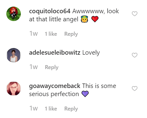 More fan comments on Instagram | Instagram: @lisawhelchel
