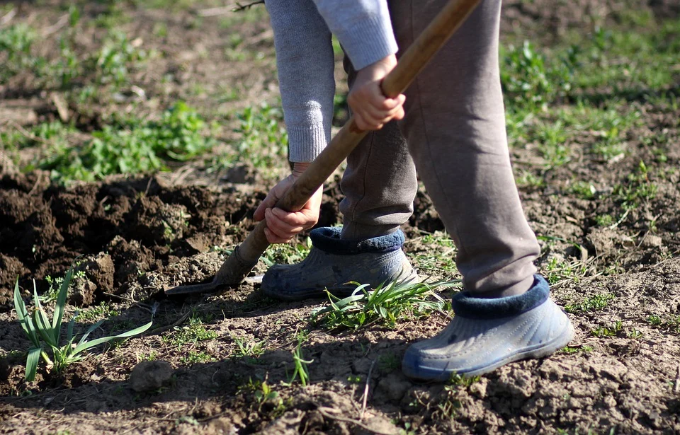 A man digging the soil. | Photo: Pixabay