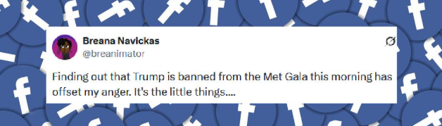 A fan's reaction to the news that Donald Trump may have been banned from attending the Met Gala, from a post dated May 6, 2025 | Source: X/breanimator
