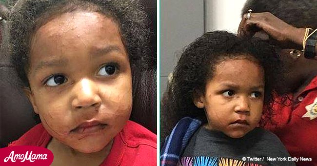 Toddler saved infant brother after car wreck kills their mother