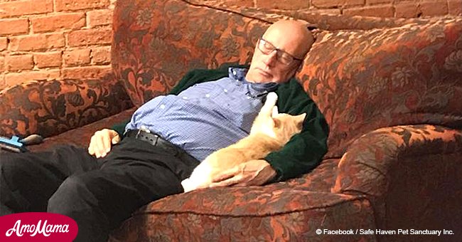 75-year-old man's primary job is to sleep with various shelter cats