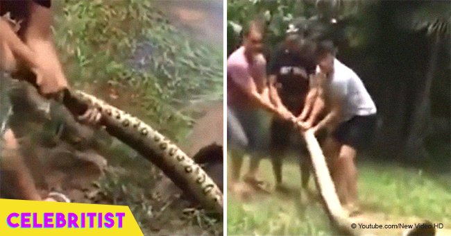 Dramatic moment when two men fight for dog's life trapped in deadly clutches of a giant anaconda