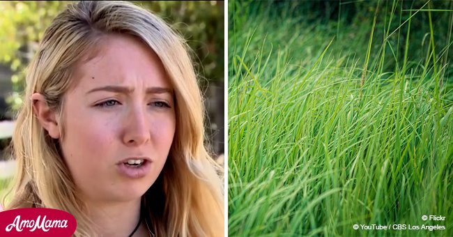 Man hears crying outside in a field. Coming closer, he finds newborn 'babies'