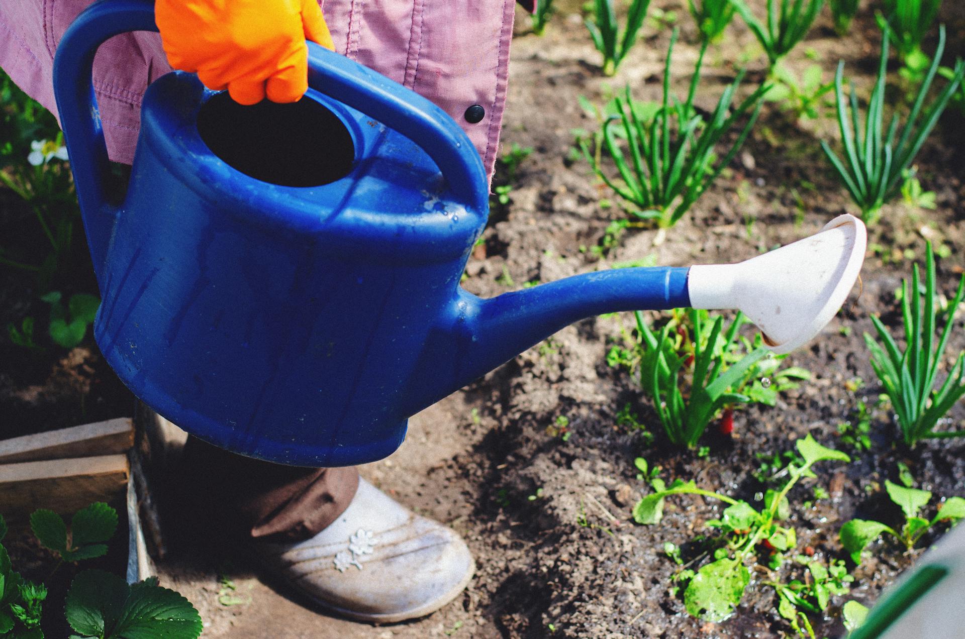 A person holding a watering can | Source: Pexels