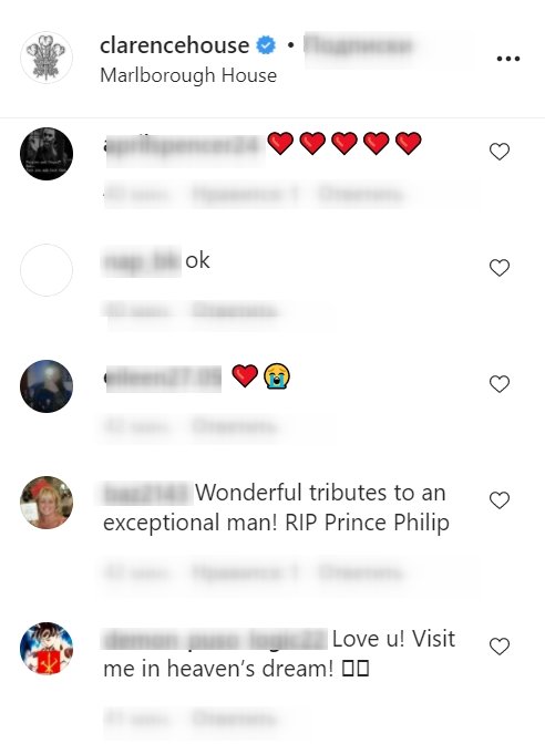 A screenshot of a fan's comment on Clarence House's post on its instagram page | Photo: instagram.com/clarencehouse/