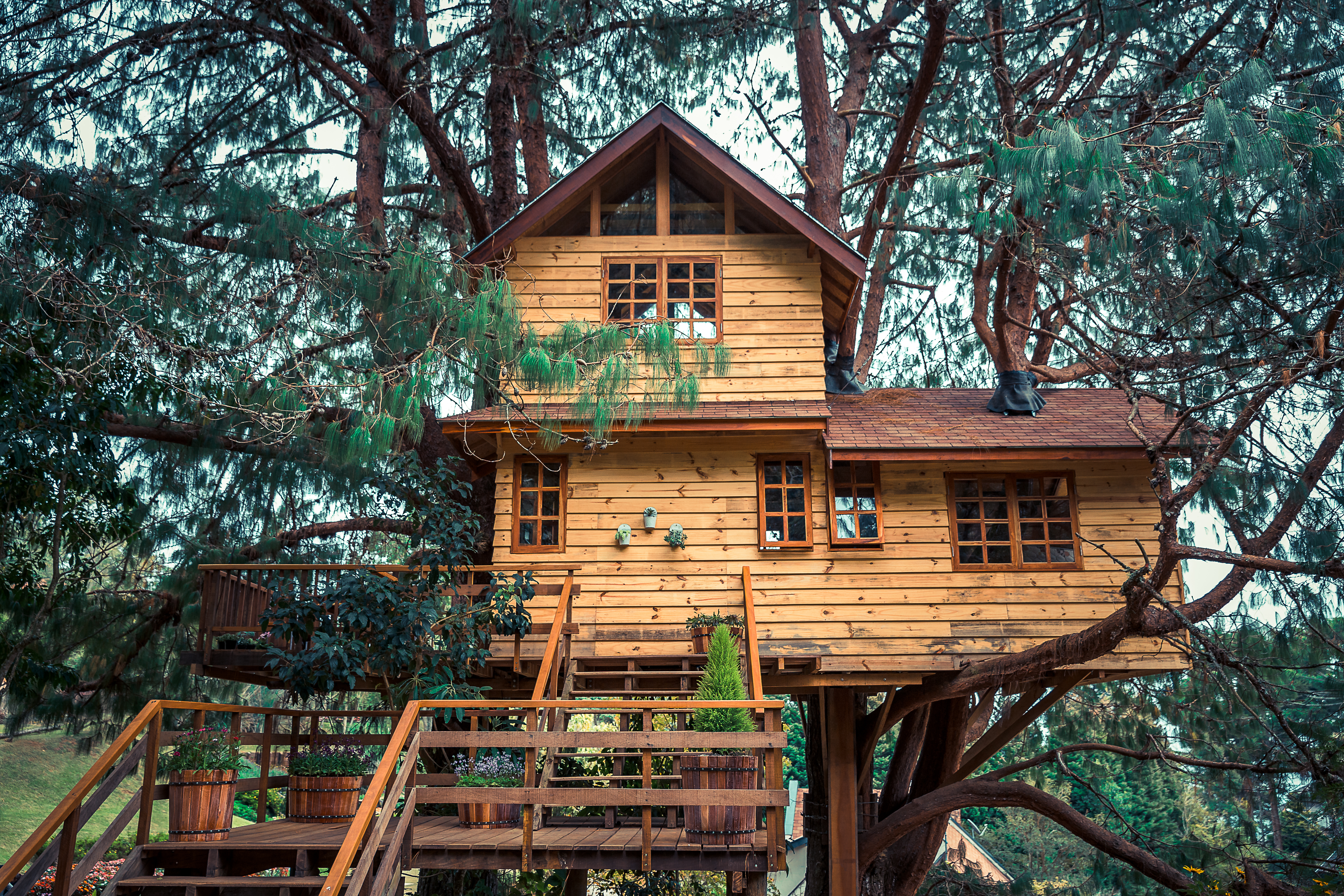 A treehouse | Source: Shutterstock