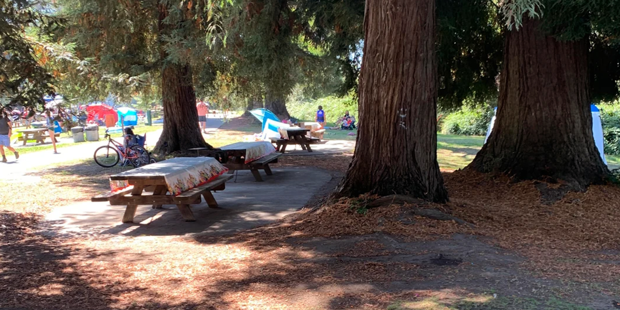 Picnic tables in a park | Source: reddit.com/AV16mm