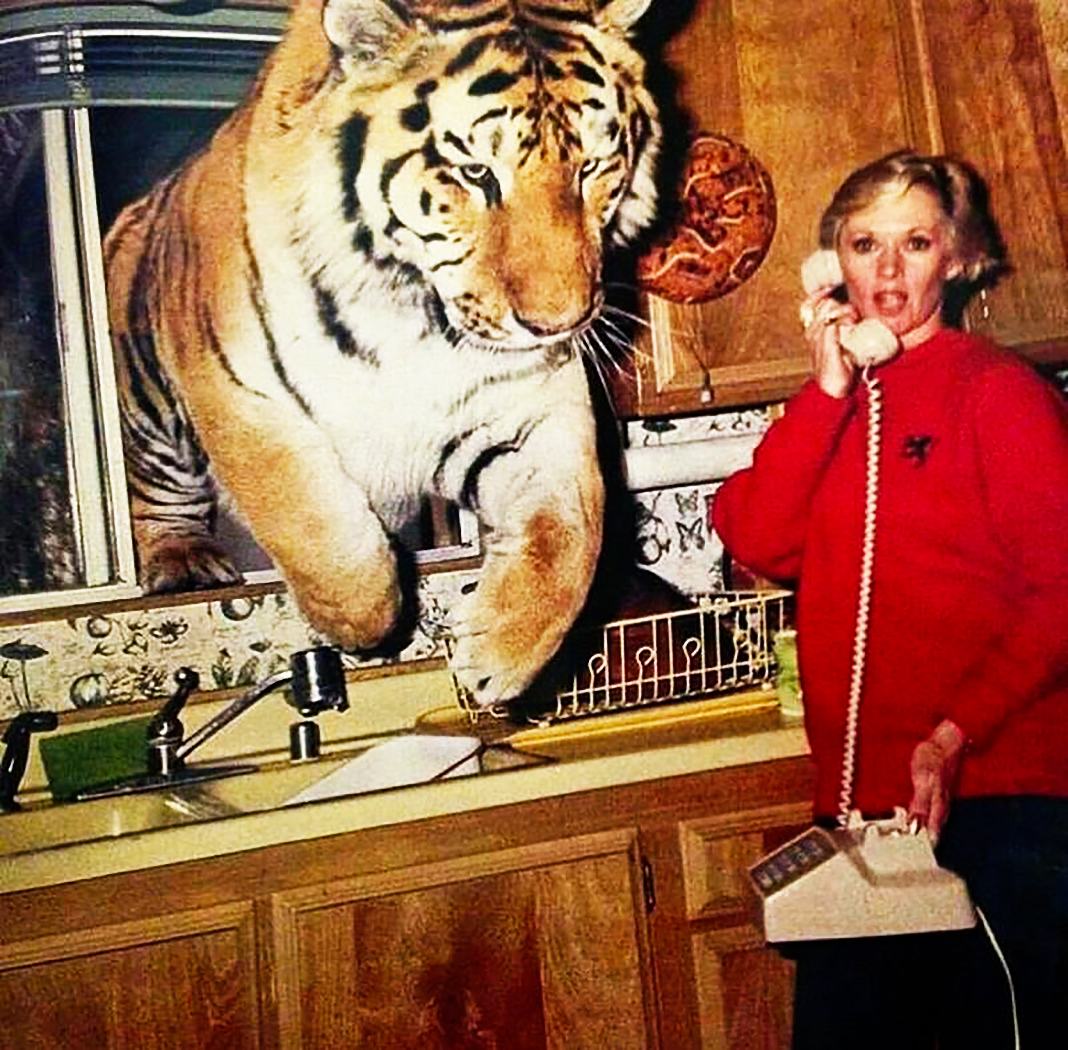 Tippi Hedren and a tiger names Zoe in the kitchen of her home in Acton, California in 1994. | Source: Getty Images
