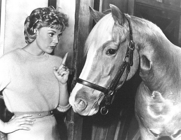 Connie Hines in "Mister Ed" in 1963. | Wikimedia Commons.