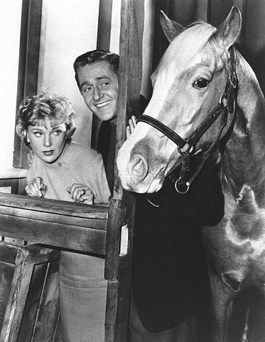 Connie Hines and Alan Young in "Mister Ed." | Source: Wikimedia Commons.