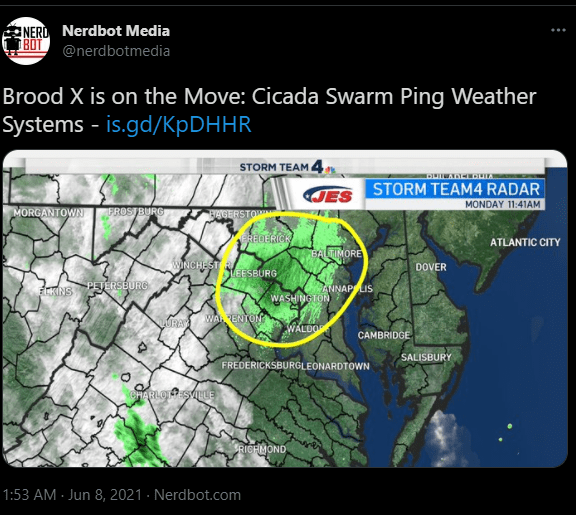 The cicada swarm is so large it is picked up by weather radars. | Photo: Twitter/nerdbotmedia