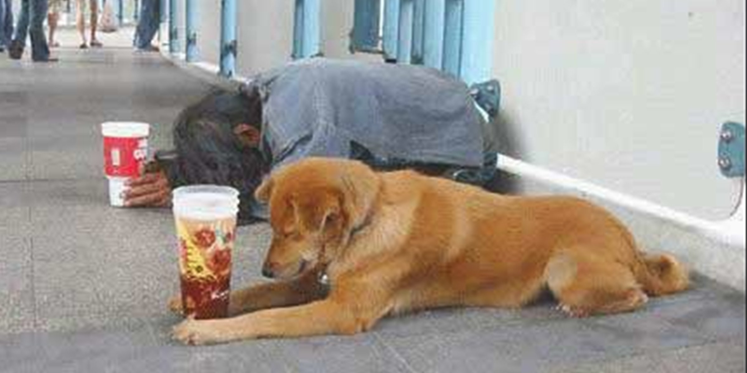 Un perro y un mendigo | Foto: Flickr.com/Bianca's (CC BY 2.0)