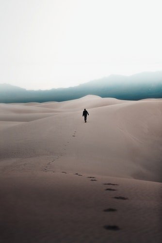 Source : Unsplash