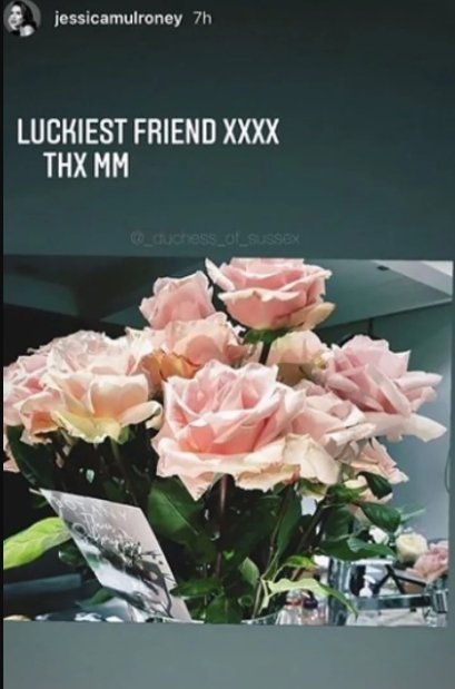 An adorable bouquet of pink roses sent by Meghan Markle to her friend, Jessica Mulroney | Photo: Instagram / jessicamulroney