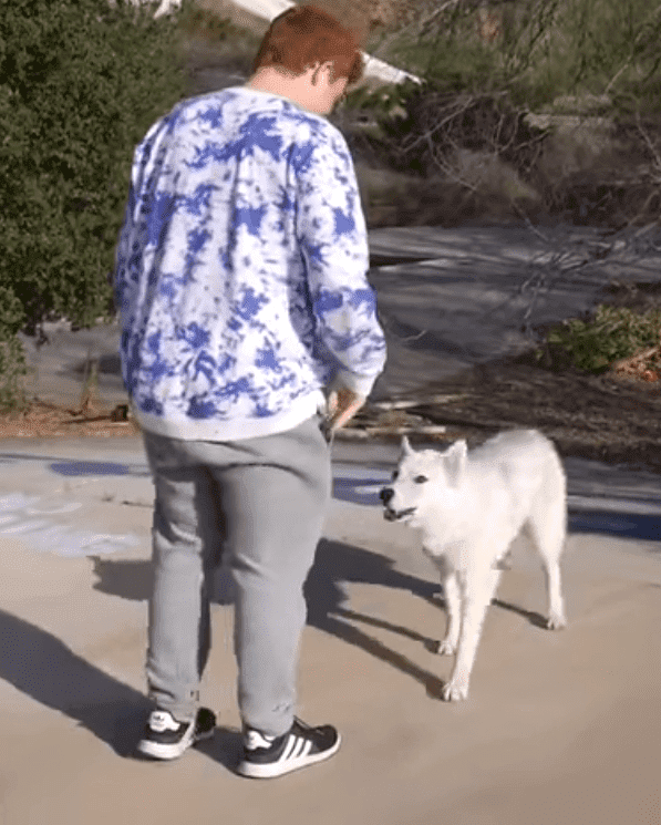 Amigo de Trevor con el perrito blanco. | Imagen: YouTube /Trevor Costelloe Amigo de Trevor con el perrito blanco. | Imagen: YouTube /Trevor Costelloe