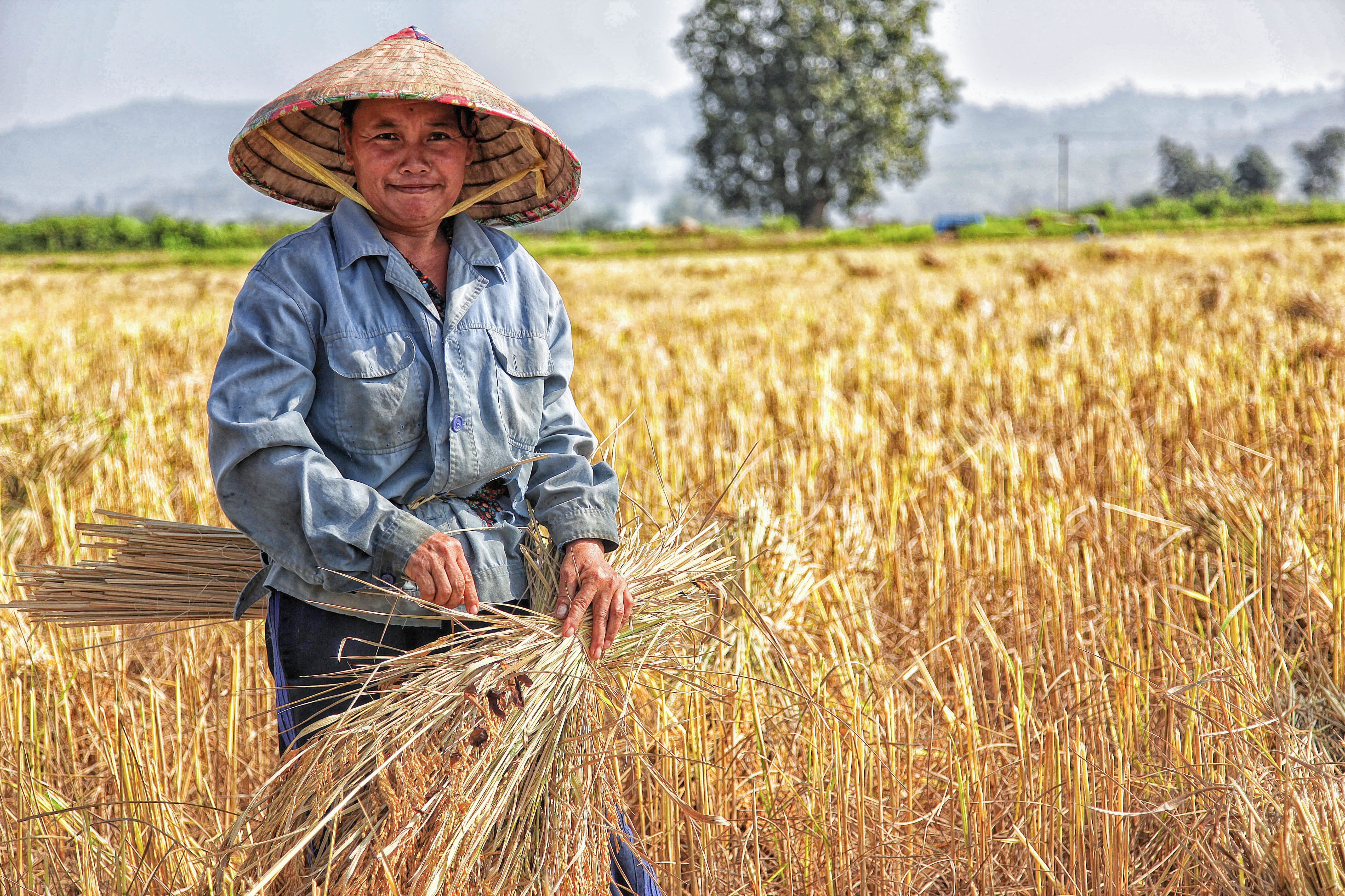 A farmer working on the fields. | Source: Pexels