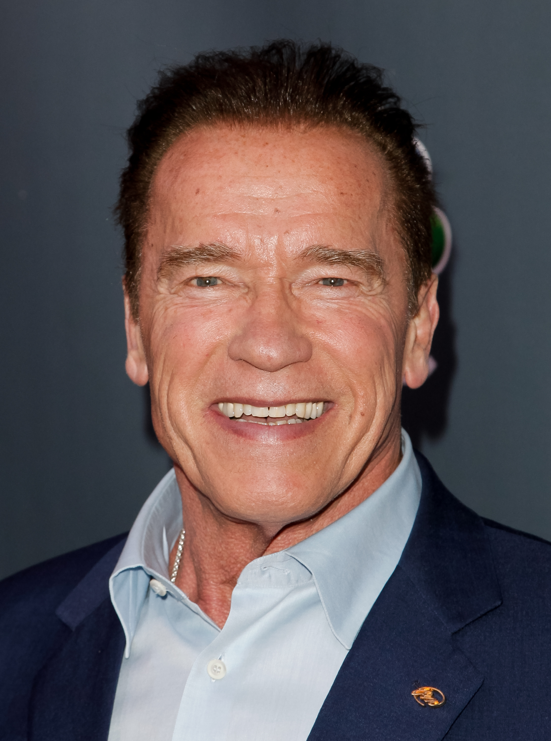 Arnold Schwarzenegger at the Q&A for NBC's 'The New Celebrity Apprentice' in Universal City, California on December 9, 2016 | Source: Getty Images