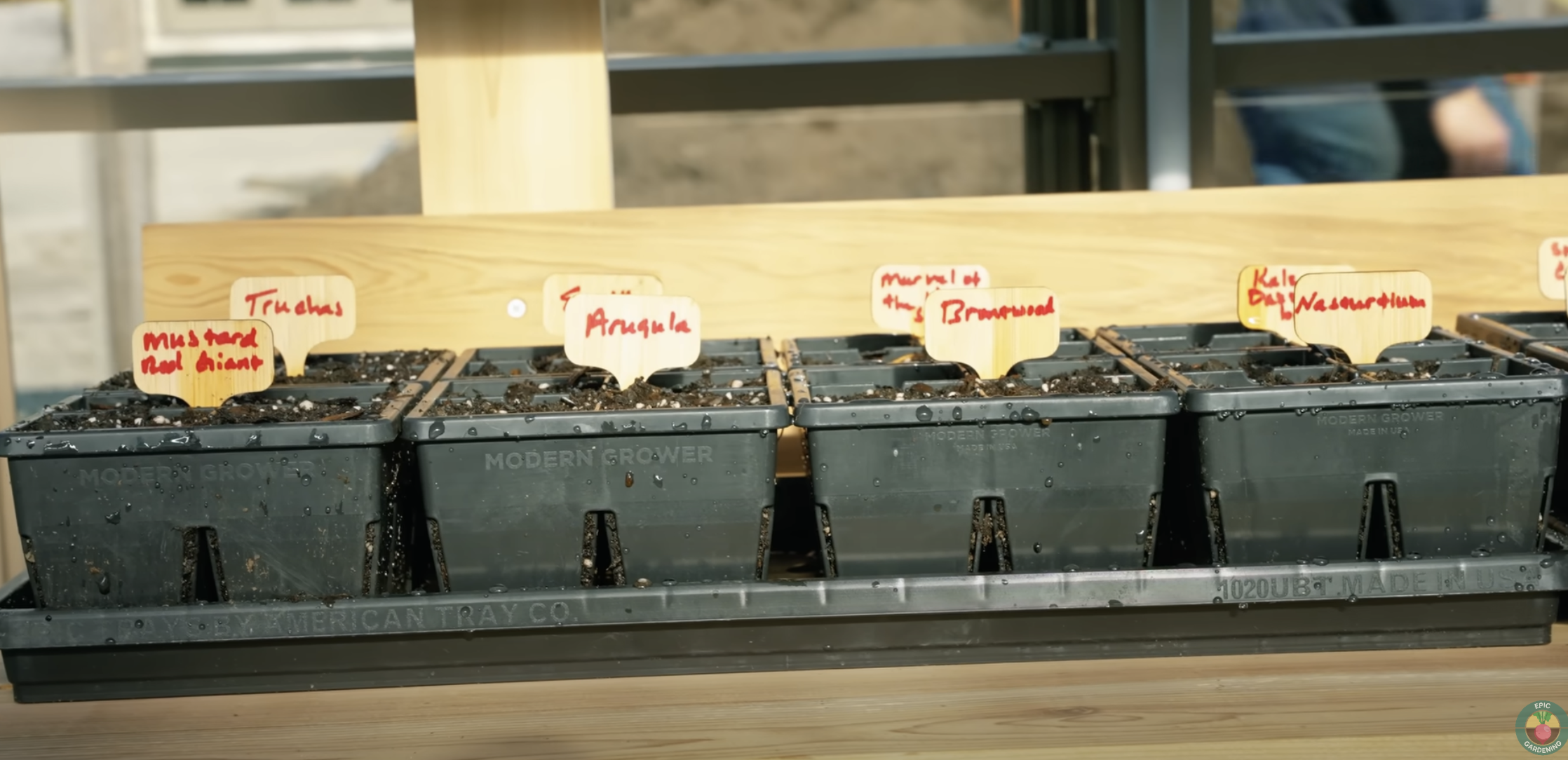 Carrie Underwood's plants pictured on February 18, 2023, in Franklin, Nashville. | Source: YouTube/EpicGardening