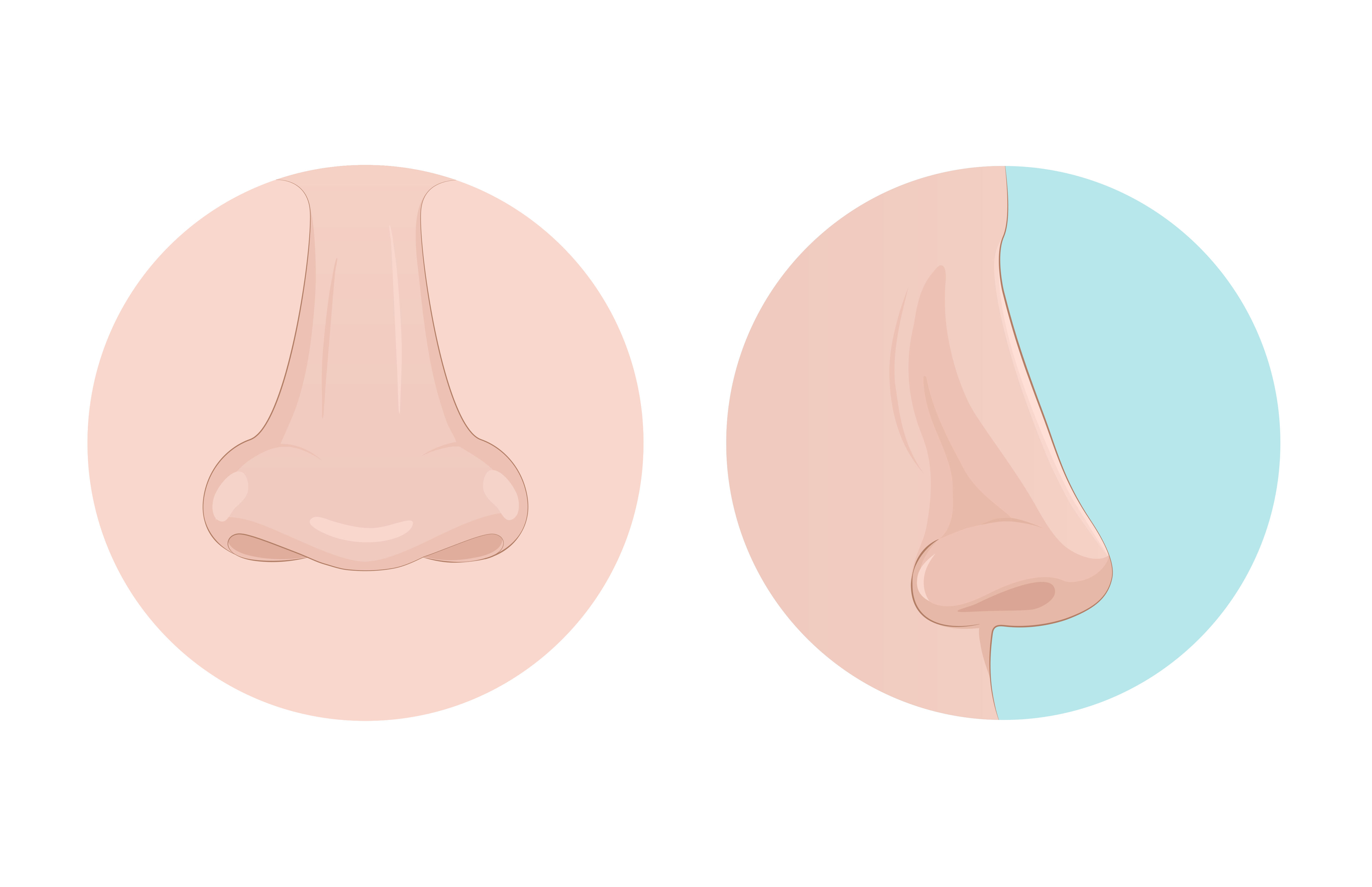 A side view and front view of a nose | Source: Getty images
