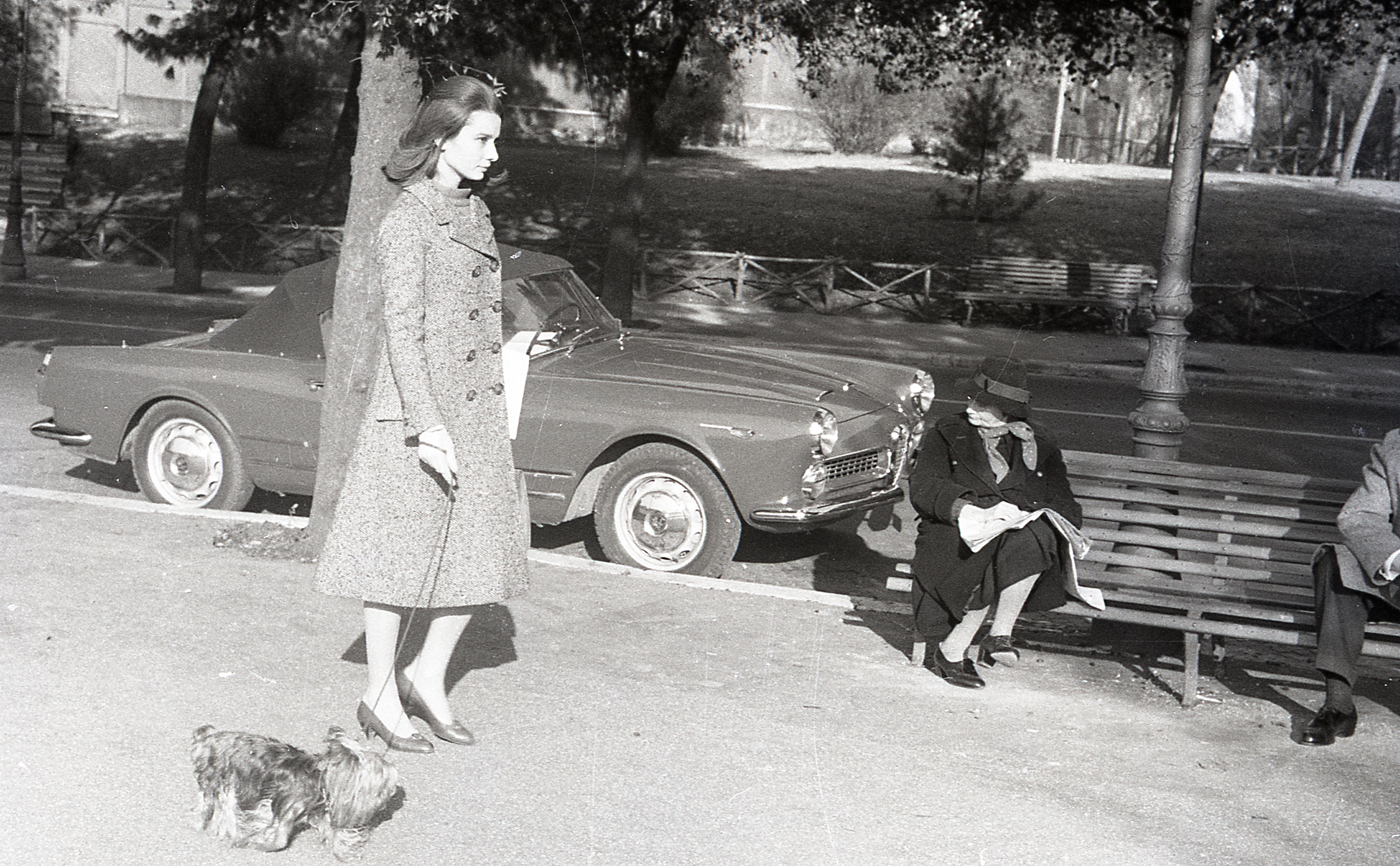 Audrey Hepburn walking with her dog in Villa Borghese in Rome in December 1959 | Source: Getty Images