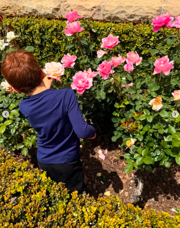 Prince Archie looking at roses, posted on April 28, 2025. | Source: Instagram/meghan