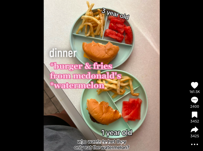 What the mom of two fed her daughters for dinner posted on August 8, 2023 | Source: TikTok/ourlittlekrew