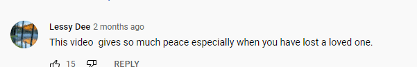 A netizen's comment on the viral Youtube video | Photo: Youtube/the700club