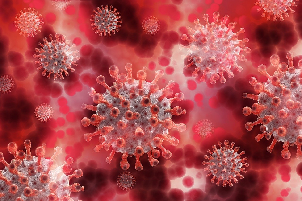A photograph of what the novel coronavirus disease looks like in a closeup | Photo: Pixabay