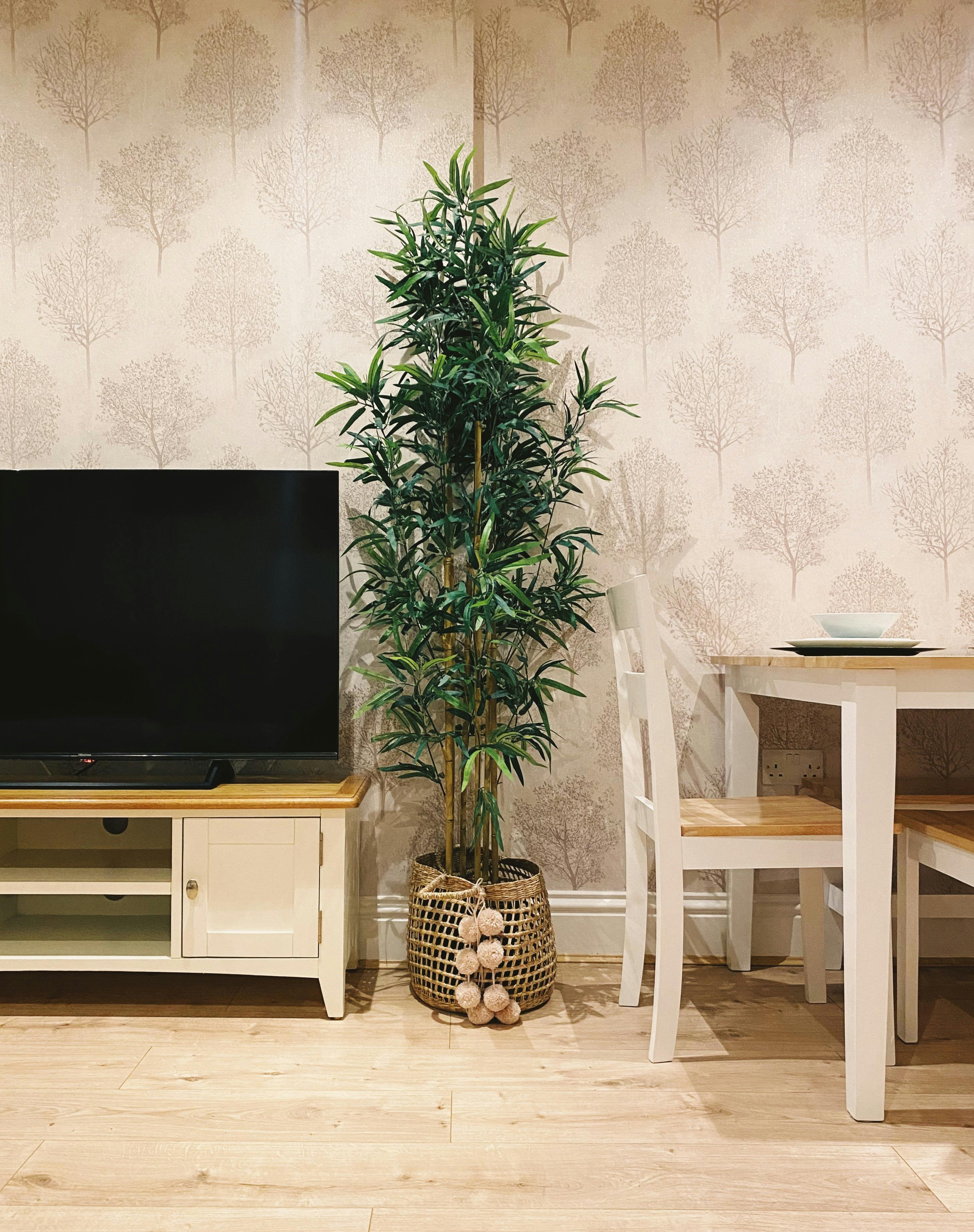 A living plant dividing the living room and dining area | Source: Pexels