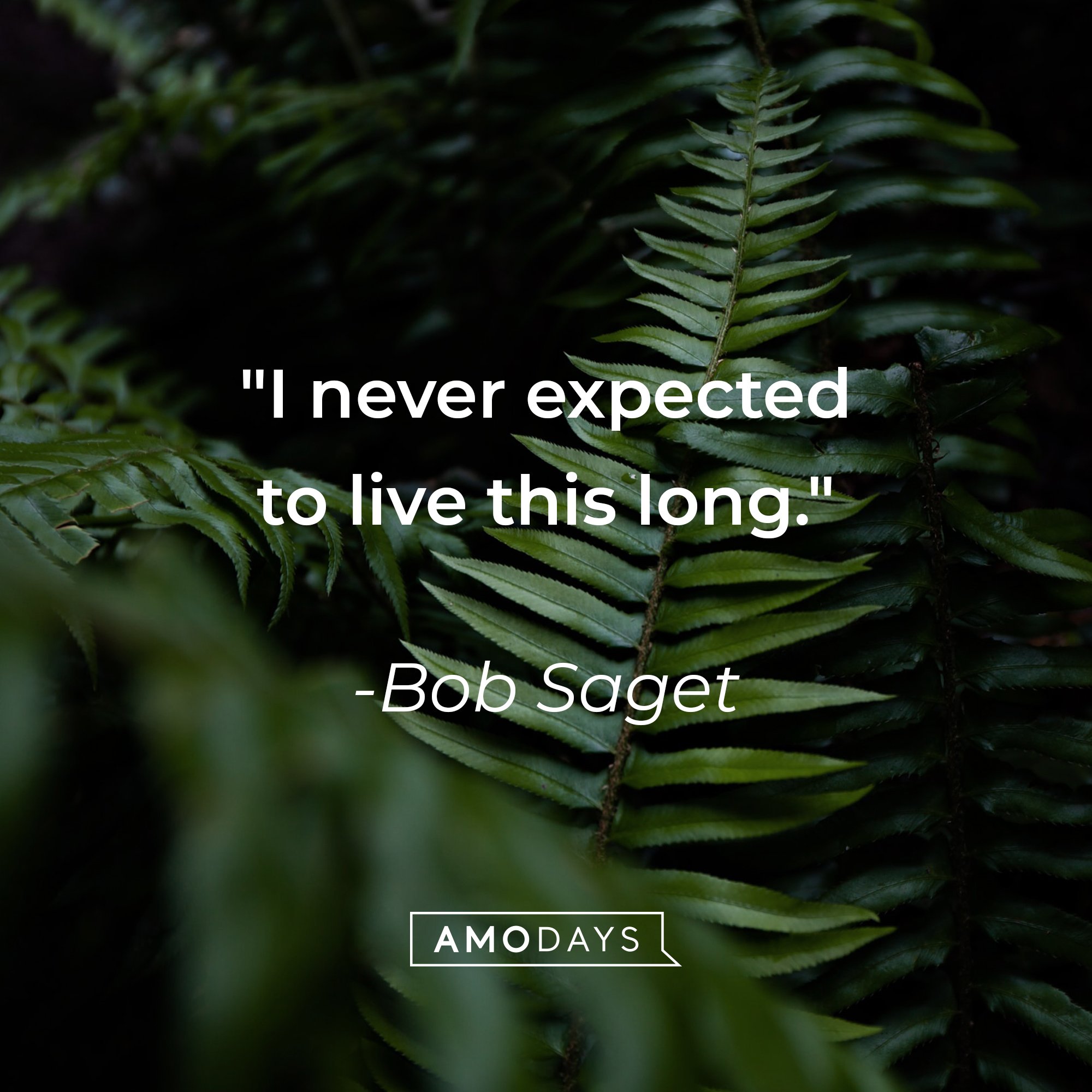 Bob Saget’s quote: "I never expected to live this long." | Image: AmoDays