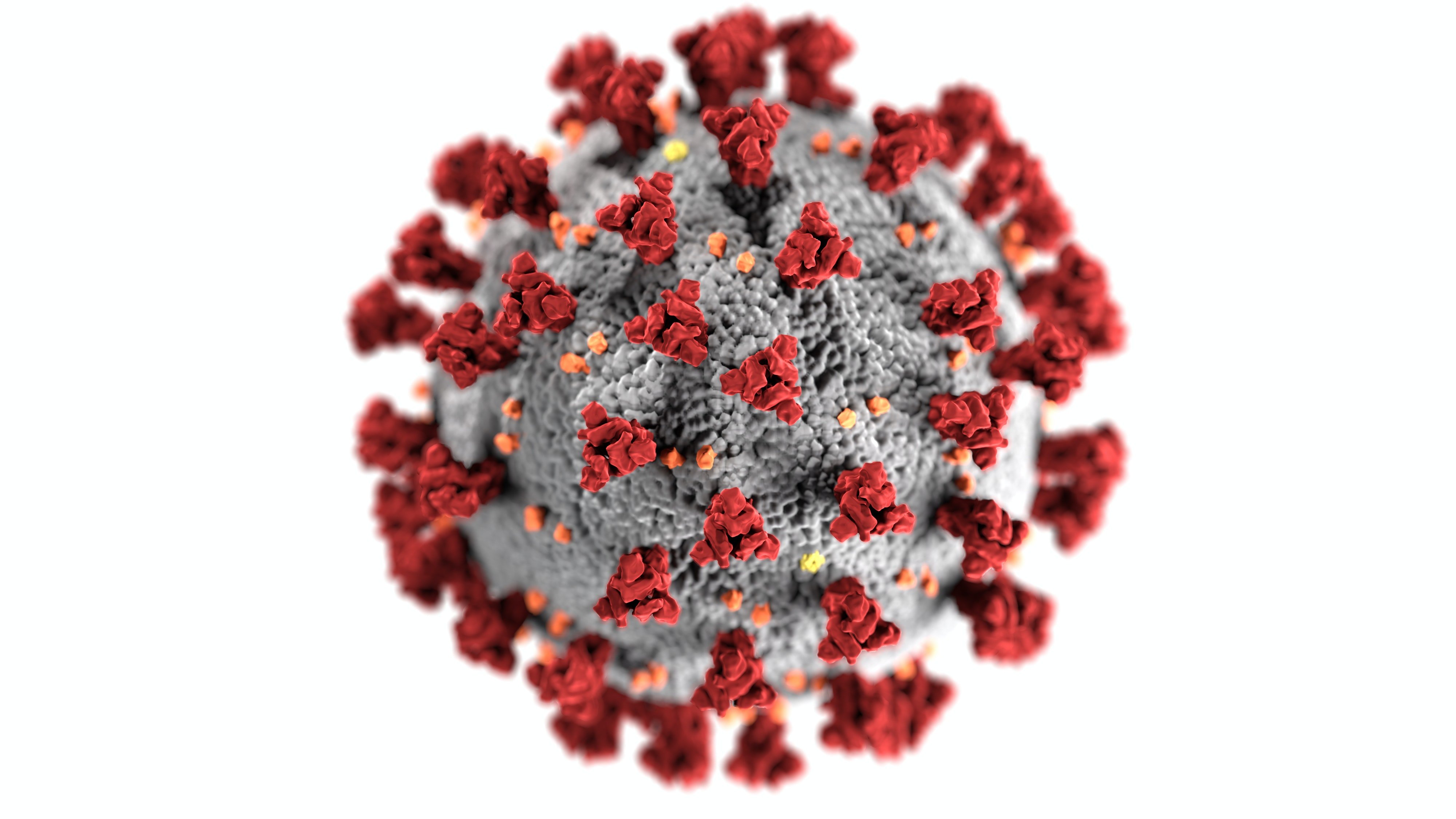 The novel coronavirus. | Source: Pexels
