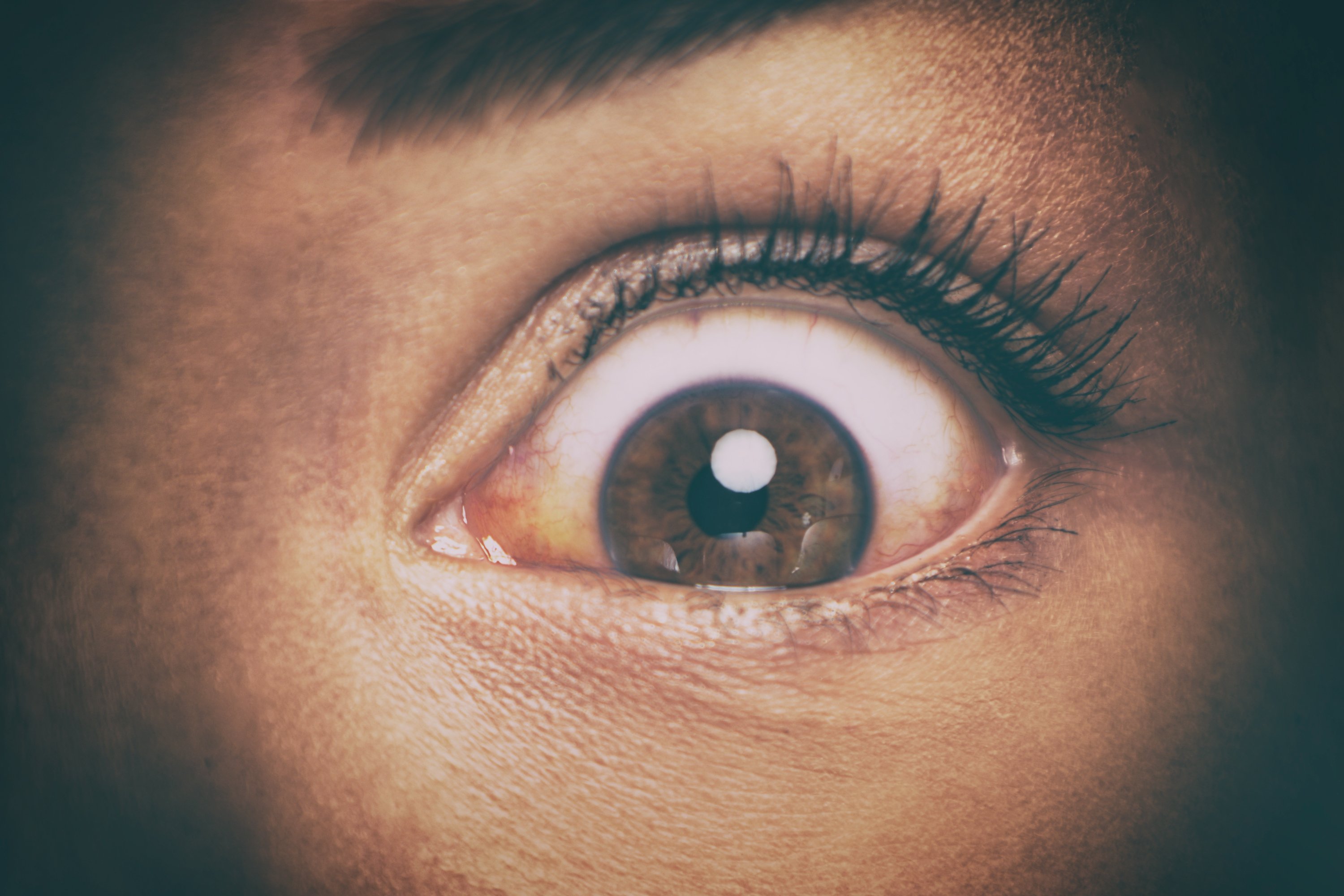 Image source: shutterstock