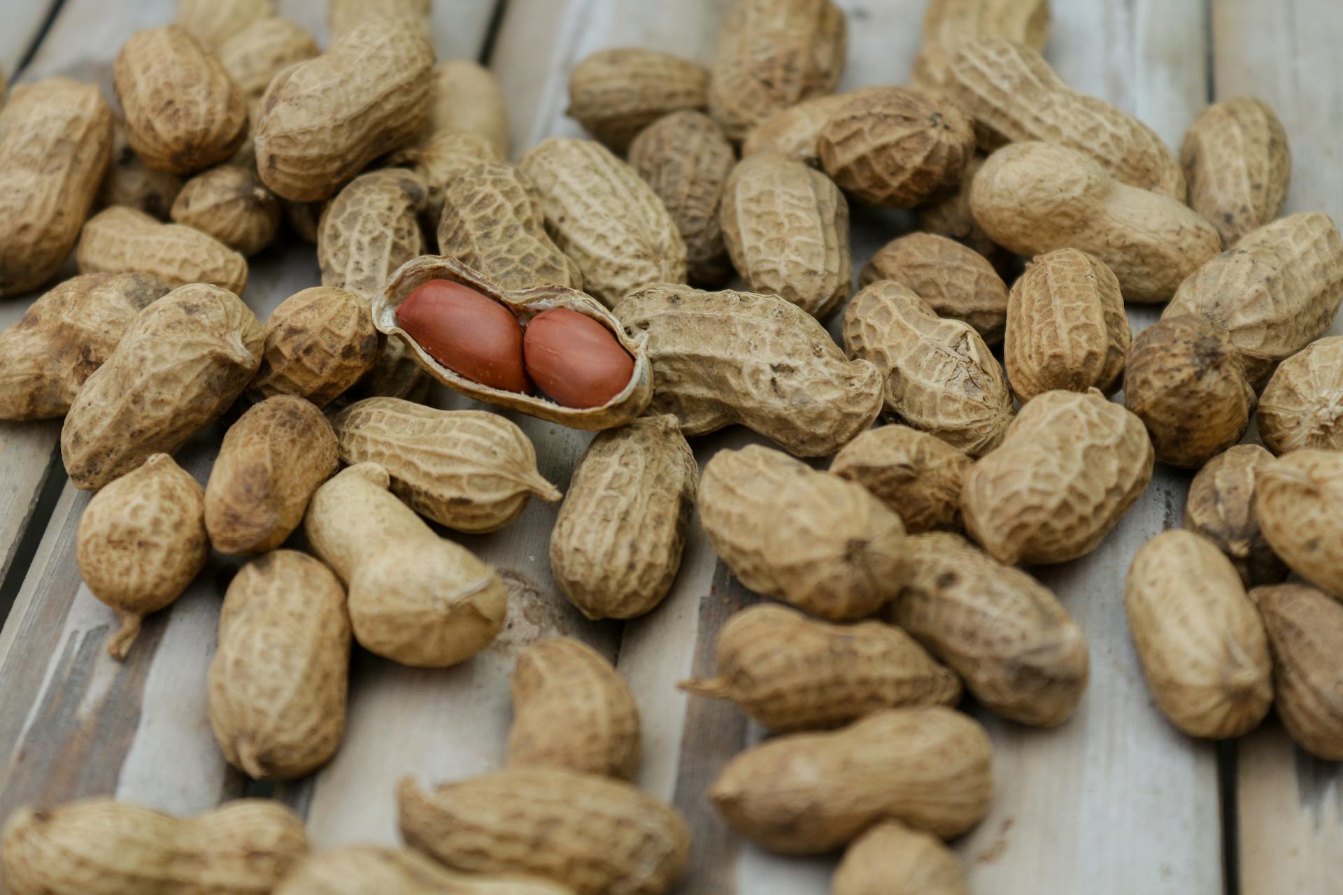 A close-up of peanuts | Source: Pexels