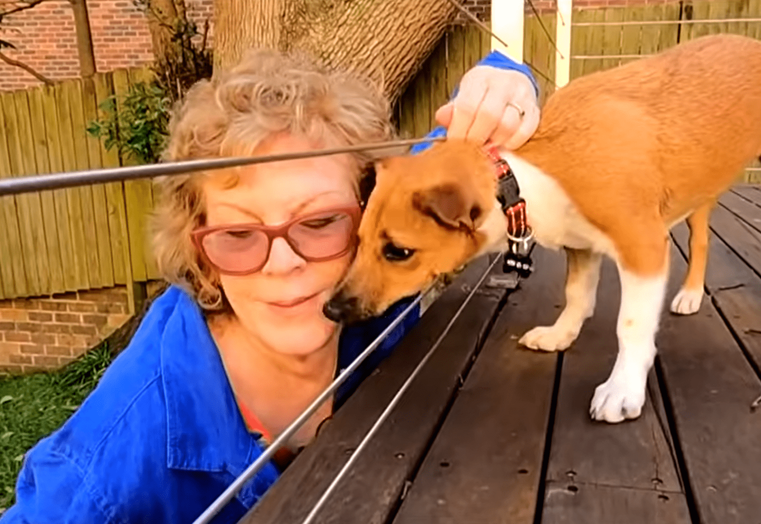 Cheri Blair affectionately pressing her cheek against her puppy, Jolene’s face. | Source: youtube.com/7NEWS Australia