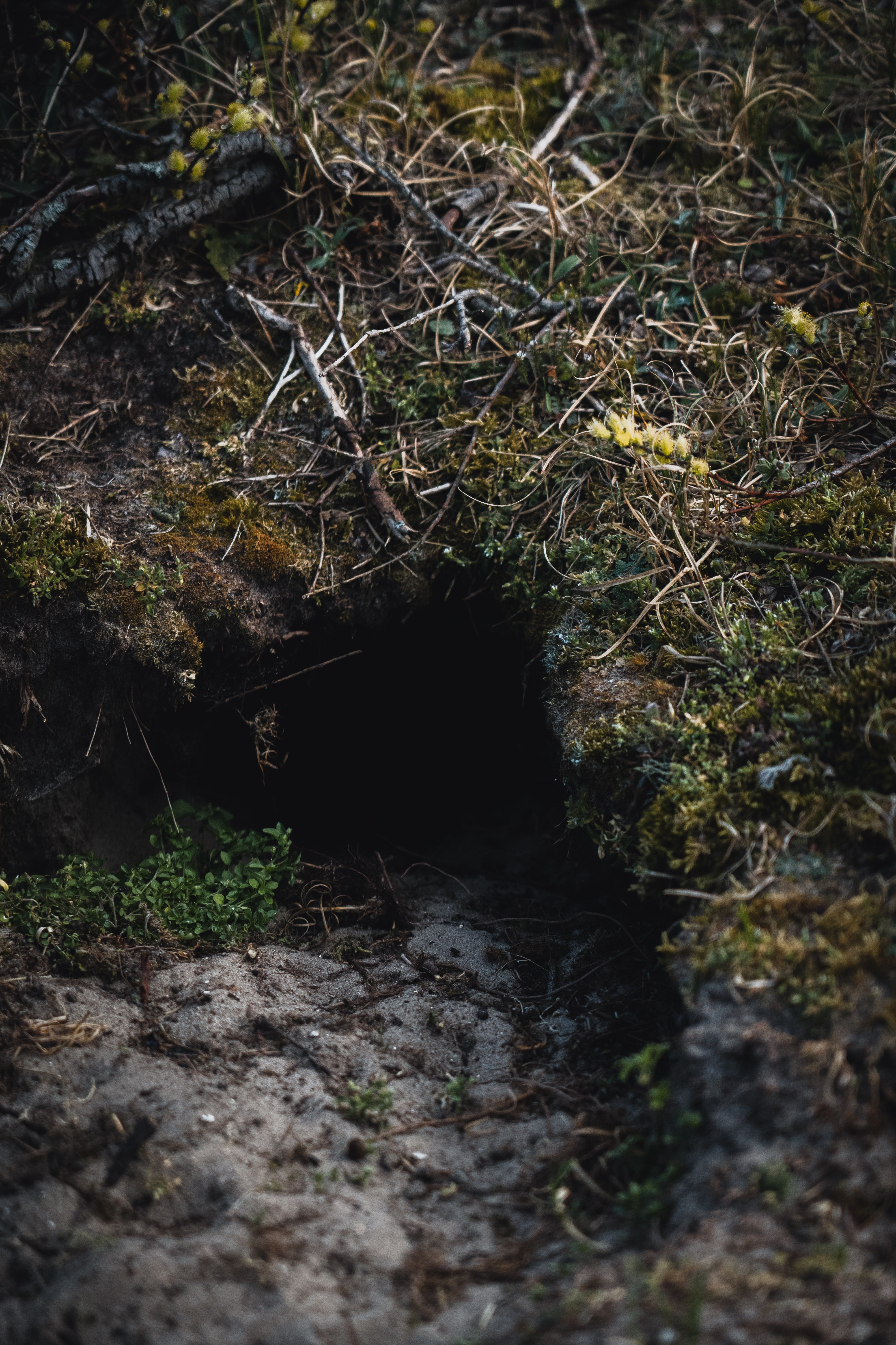 Luke fell down an old mine shaft. | Source: Unsplash