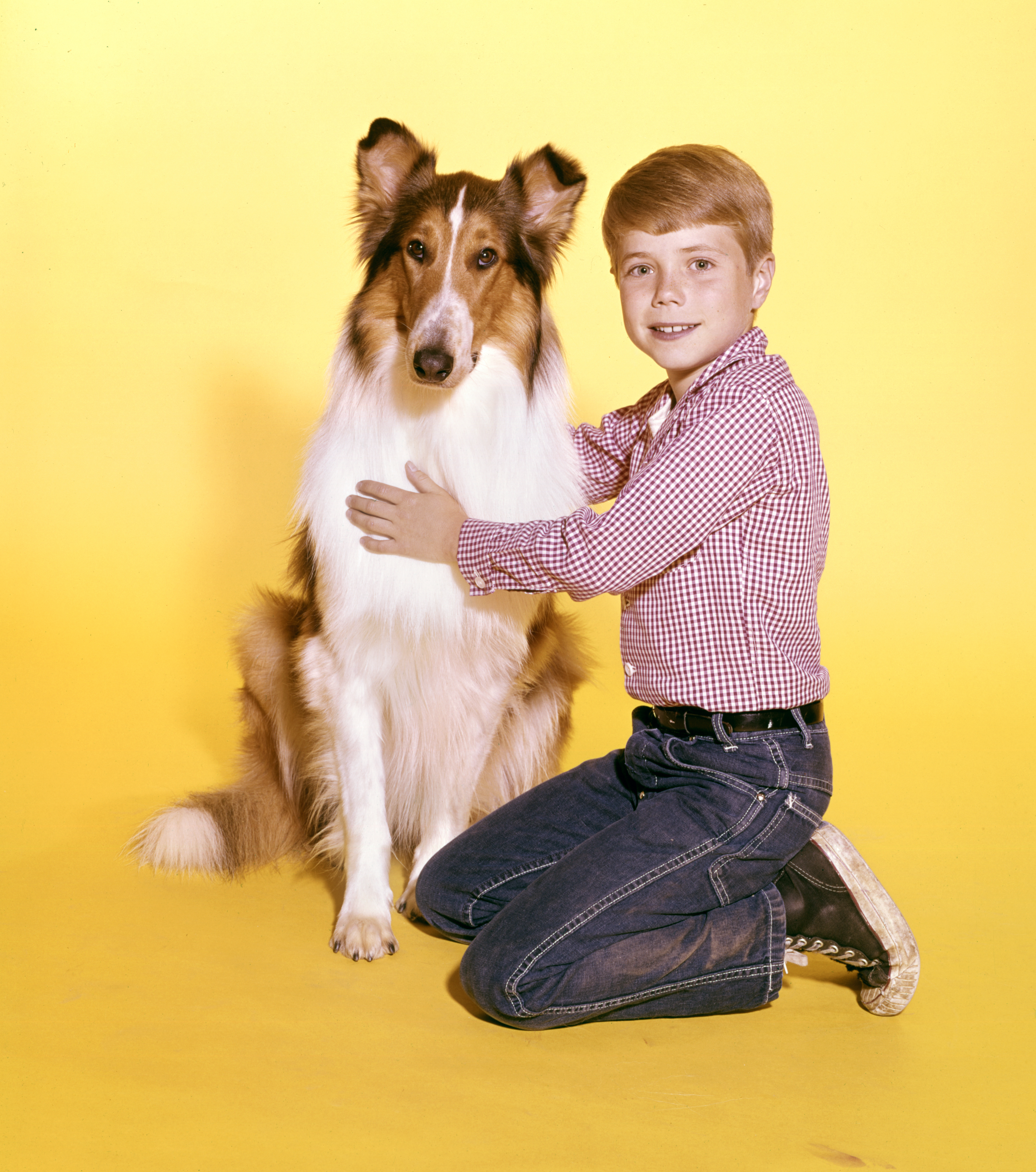 Jon Provost on "Lassie in 1964 | Source: Getty Images