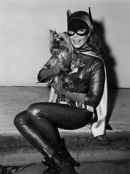 Photo of Yvonne Craig as Batgirl on the "Batman" set with her Yorkie, Sebastian. | Source: Wikimedia Commons