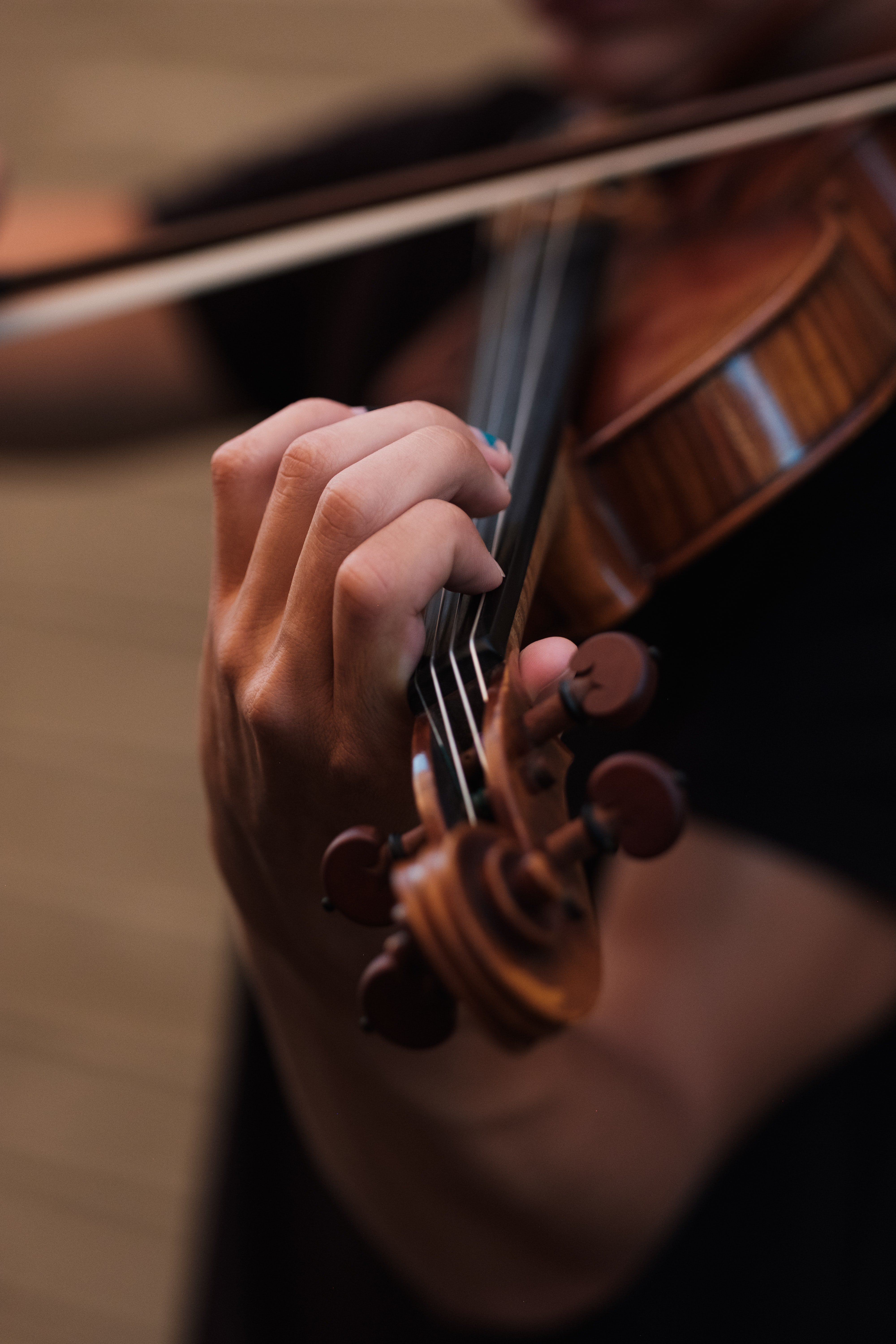 The violin player tripped over Paul. | Source: Unsplash