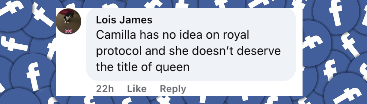 Netizen comment about Queen Camilla, posted on June 15, 2025. | Source: Facebook/Today Show