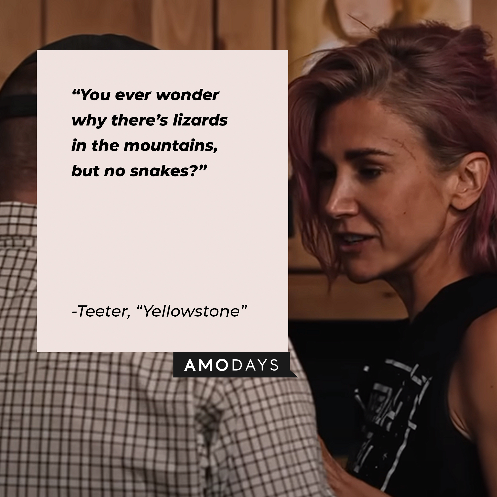 Teeter’s quote from “Yellowstone”: “You ever wonder why there’s lizards in the mountains, but no snakes?” | Source: youtube.com/yellowstone