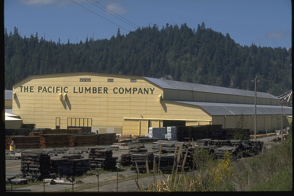 Empresa Pacific Lumber ubicada en California.| Foto: Getty Images.