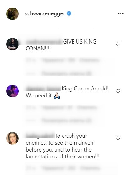 Fans' comments on Arnold Schwarzenegger's post on Instagram | Photo: Instagram/schwarzenegger 