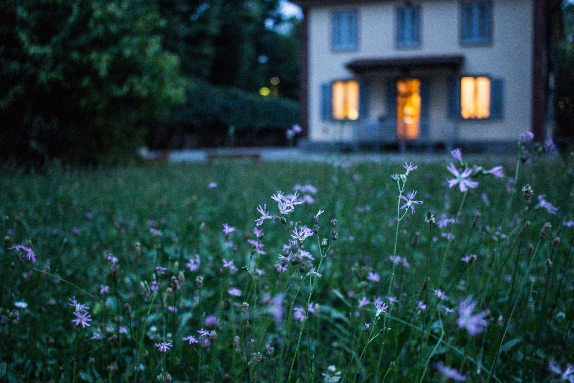 OP went back to her grandmother's house while everyone was having dinner | Source: Unsplash