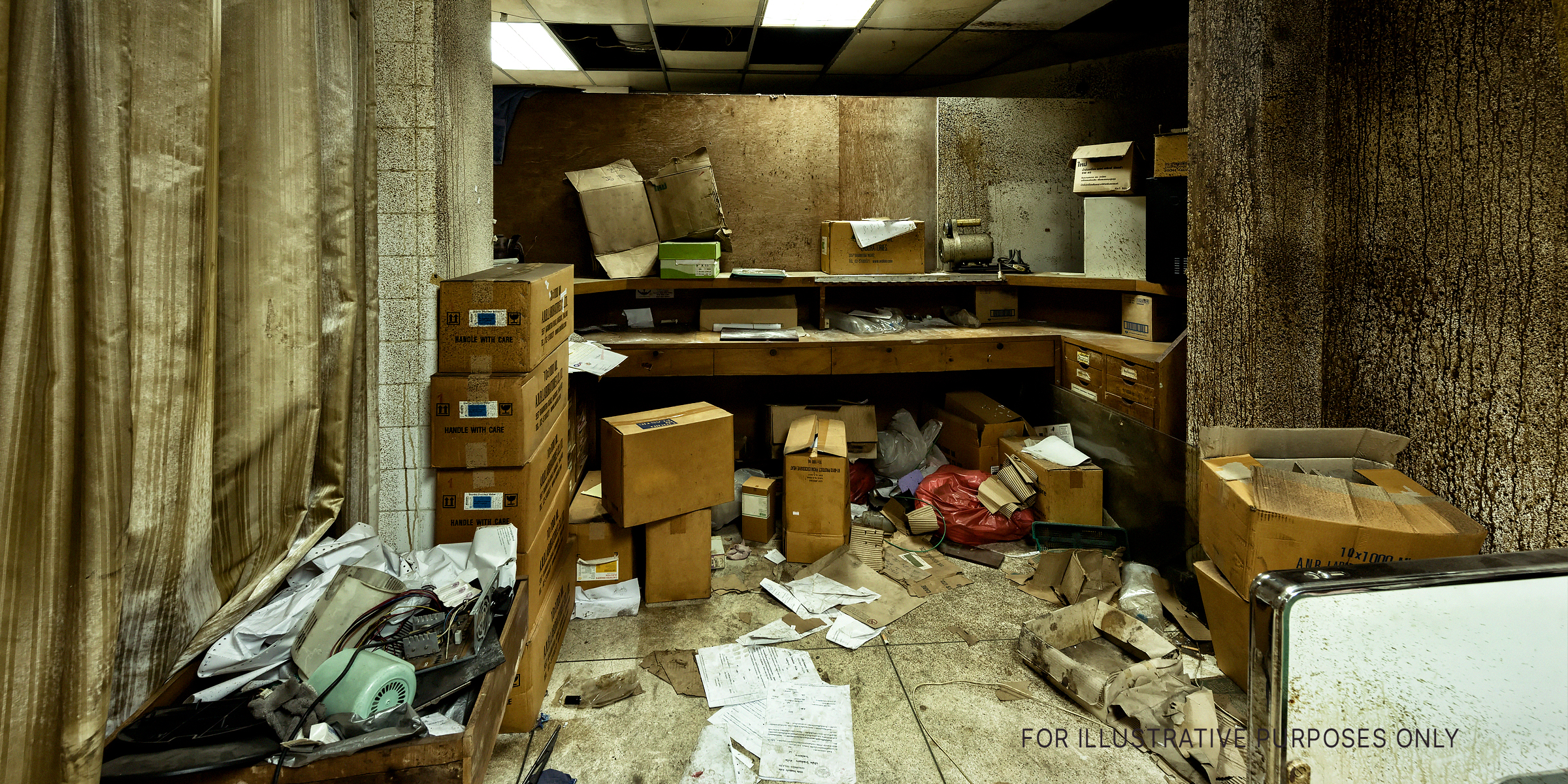 They found a basement filled with documents. | Source: freepik.com
