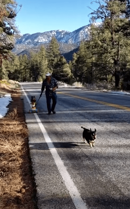 El protagonista del video viral y sus mascotas. | Foto: Captura de Tiktok/guiye59