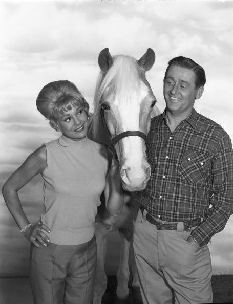 Connie Hines and Alan Young pose for a cast portrait for the CBS sitcom "Mister Ed" in 1964. | Photo: Getty Images