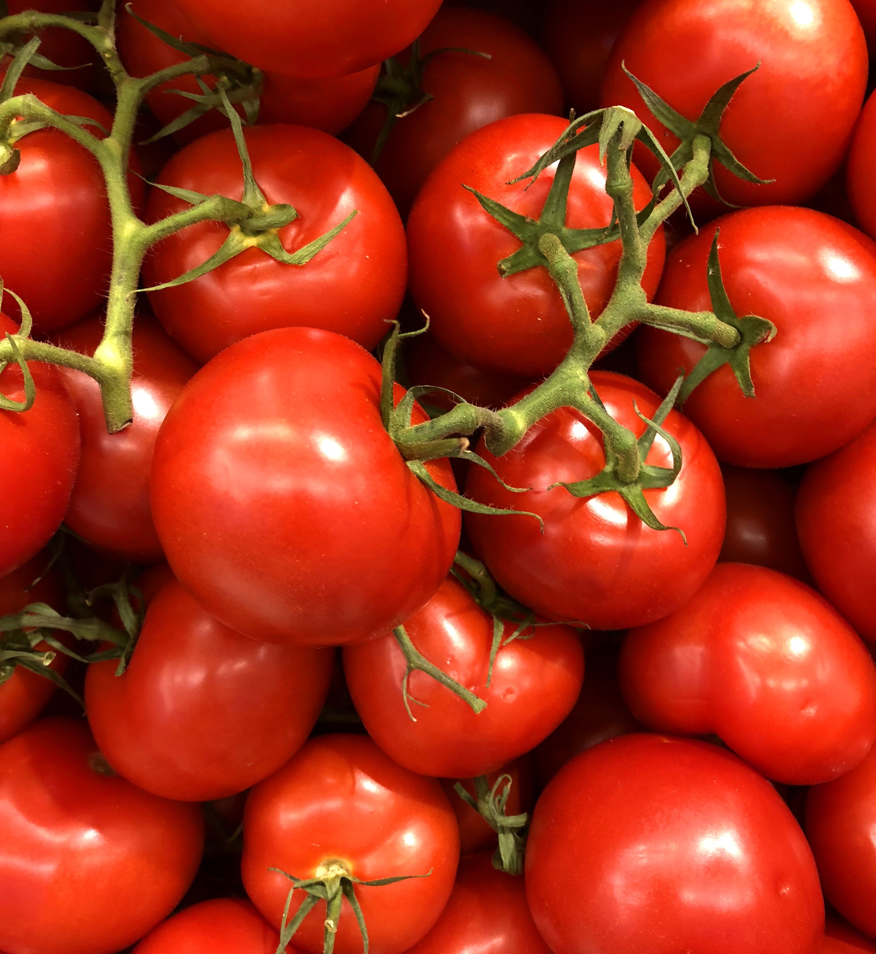 Un beau lot de tomates. l Photo : Pexels